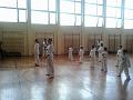 Taekwondo 29